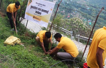 विश्व वातावरण दिवसको अवसरमा मुसिकाेटमा सिद्धार्थ बैंकद्धारा वृक्षारोपण